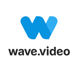 Wave Video Editing Software