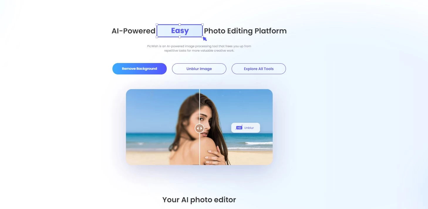 Picwish Ai Background Removal Software