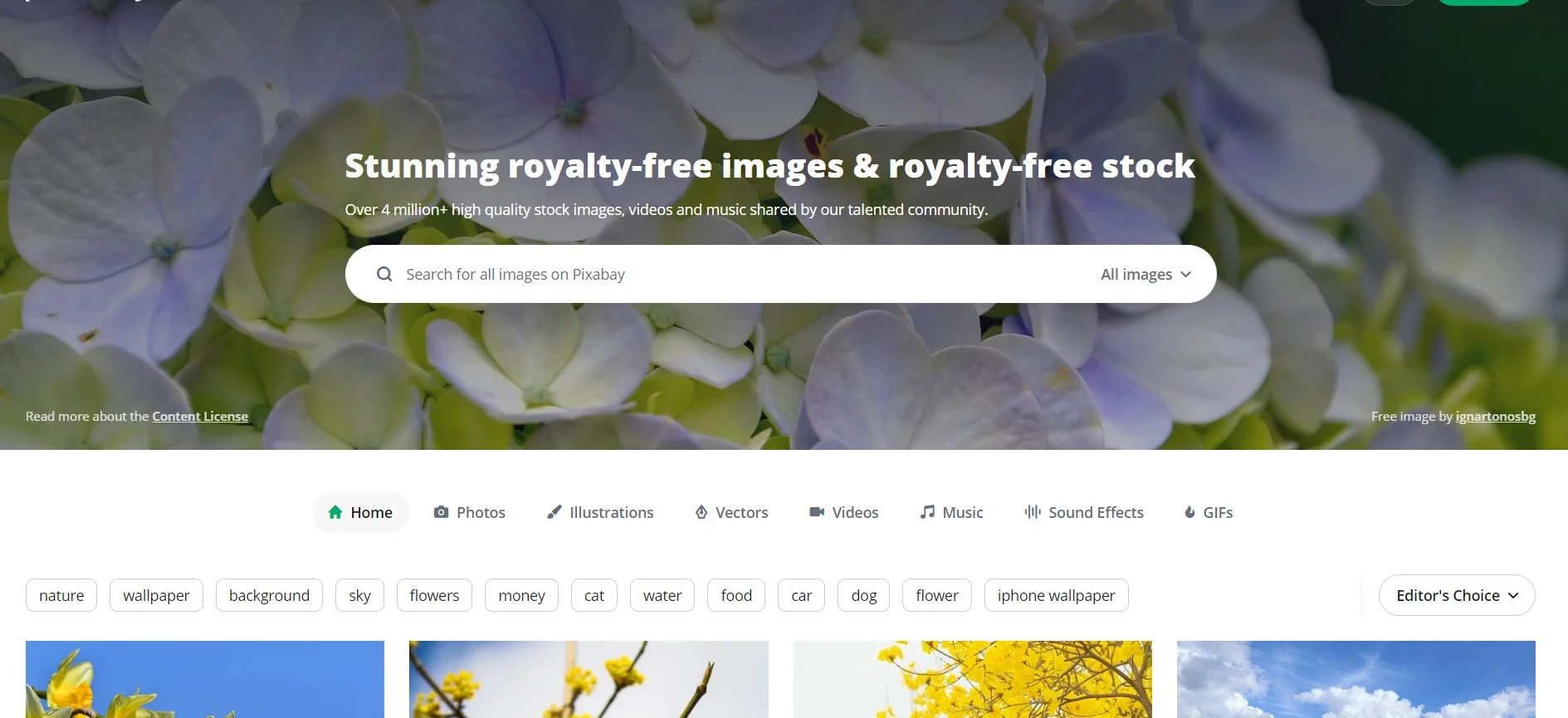 Pixabay stunning royalty-free images & royalty-free stock